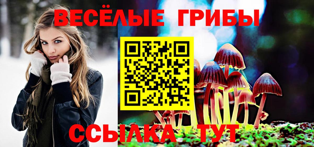 Арсеньев  Псилоцибиновые грибы GOLDEN TEACHER  Вход с VPN 
